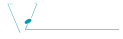 Logo Footer